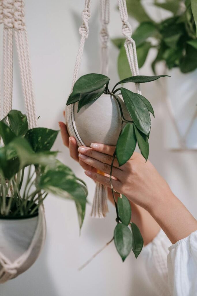 workshop di macrame nel frutteto il cascinetto e aperitivo