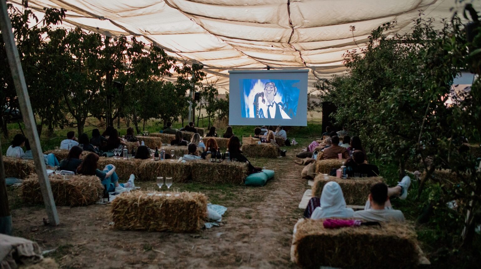 cinema nel frutteto il cascinetto eventi Outdoor cinema night