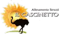 Il Cascinetto