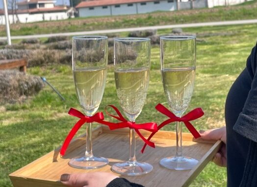 sidro di mela il cascinetto vino di mele