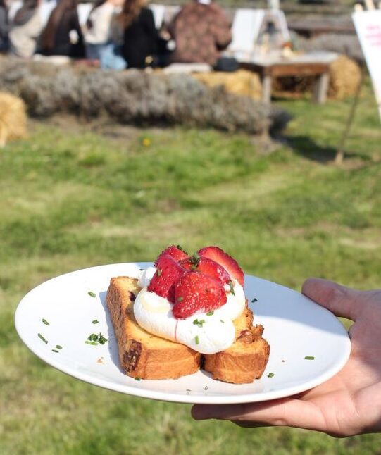 toast ricotta e fragole primavera brunch con pittura sip and paint il cascinetto agriturismo