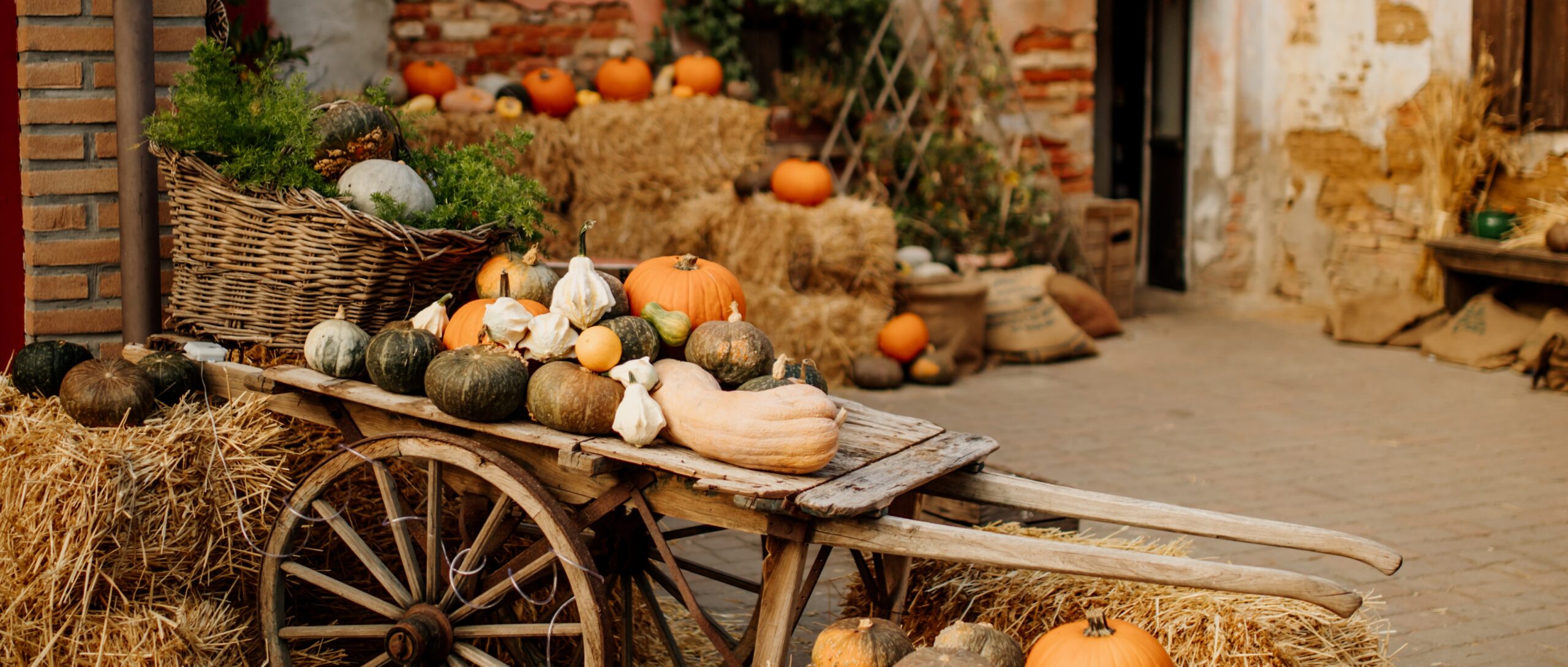 il cascinetto agriturismo festa della zucca risotto nella zucca
